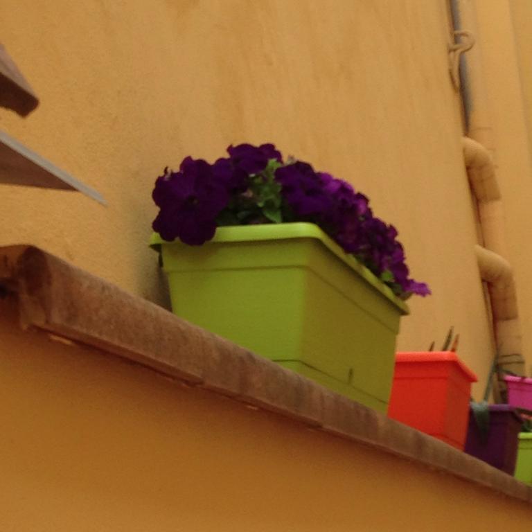 Cosy House Bed and Breakfast Φλωρεντία Εξωτερικό φωτογραφία